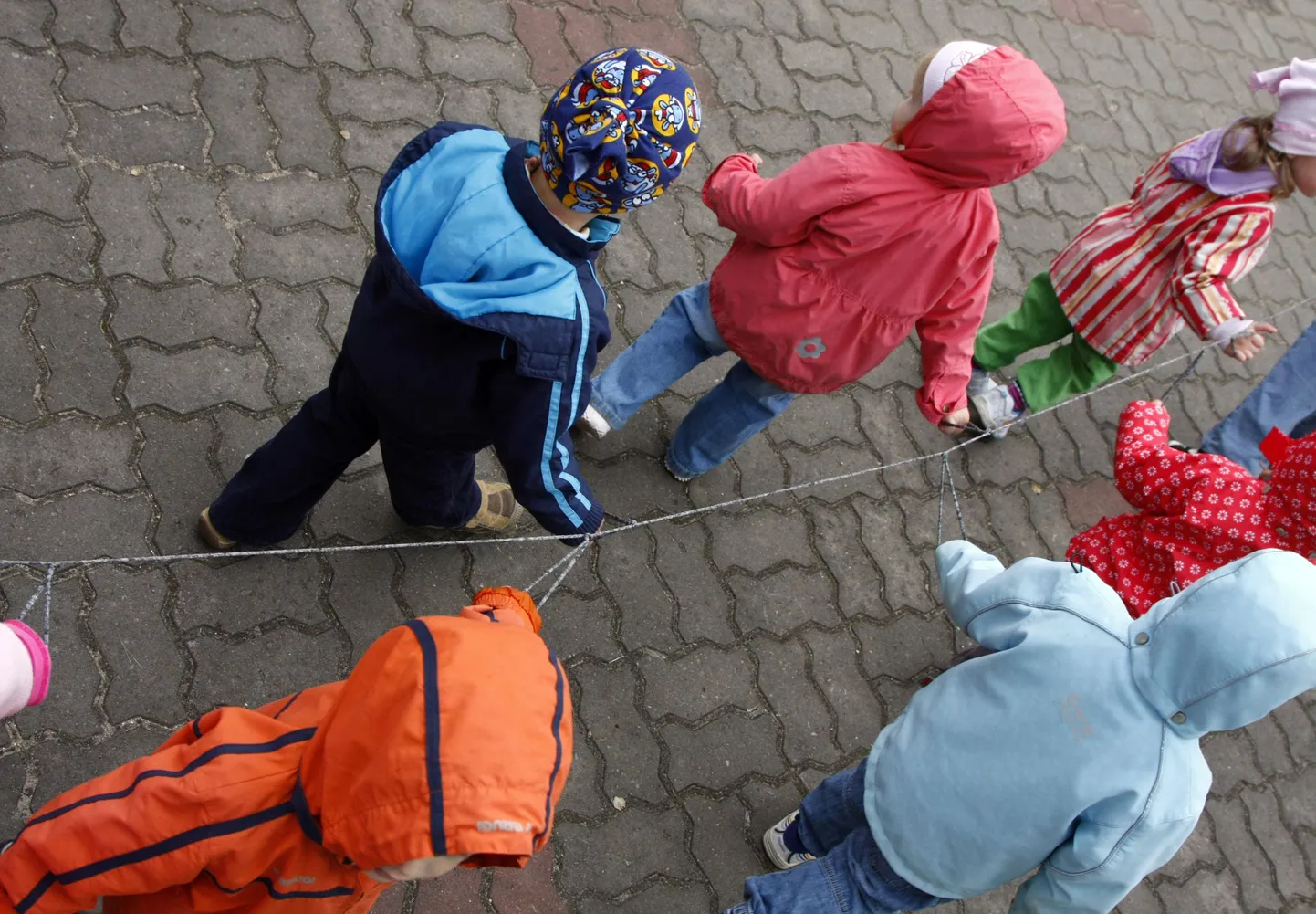 Artikli foto