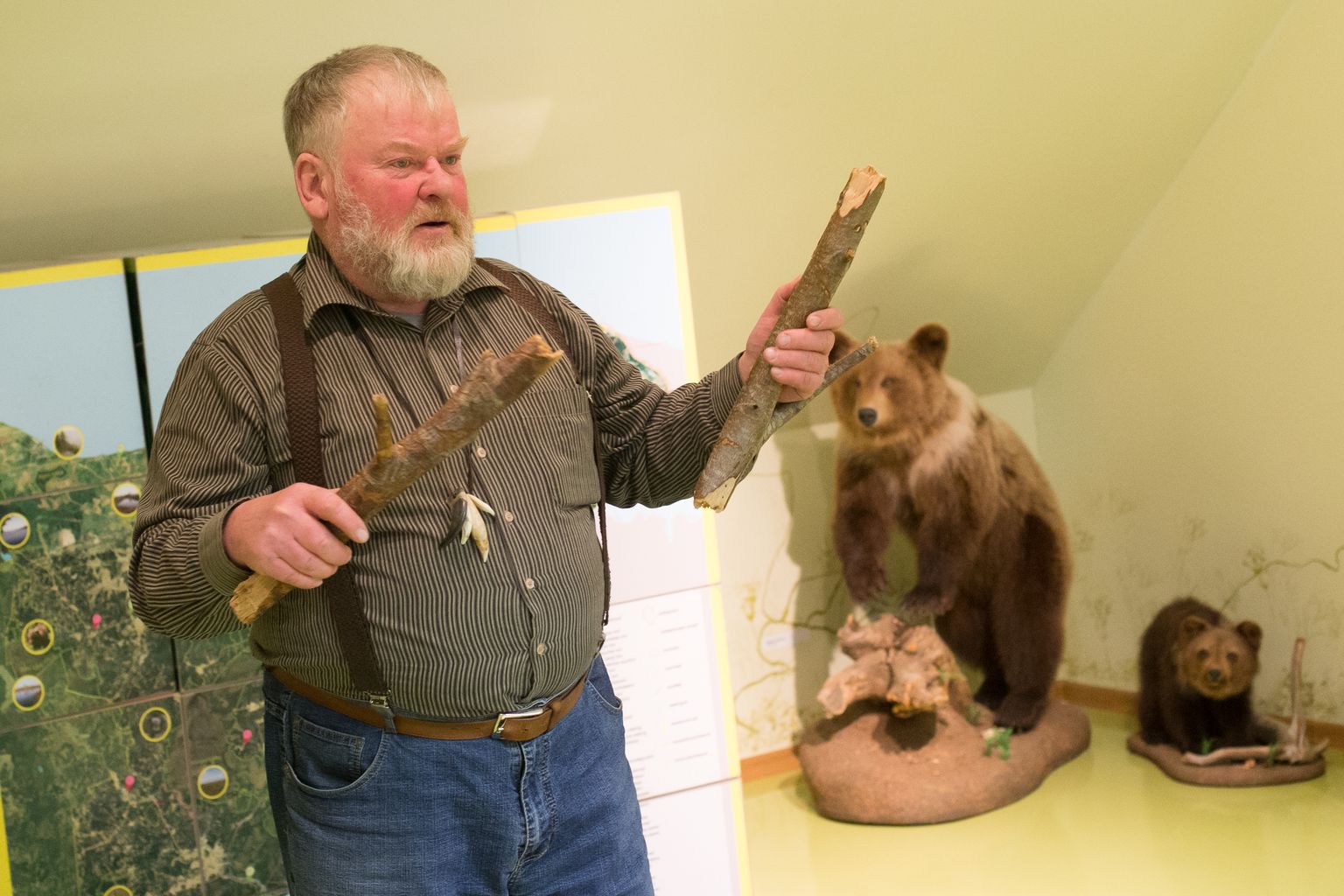 "Karu on aus loom," näitab Vahur Sepp puutüükaid, mida murides metsaott oma magamispaika märgistas.