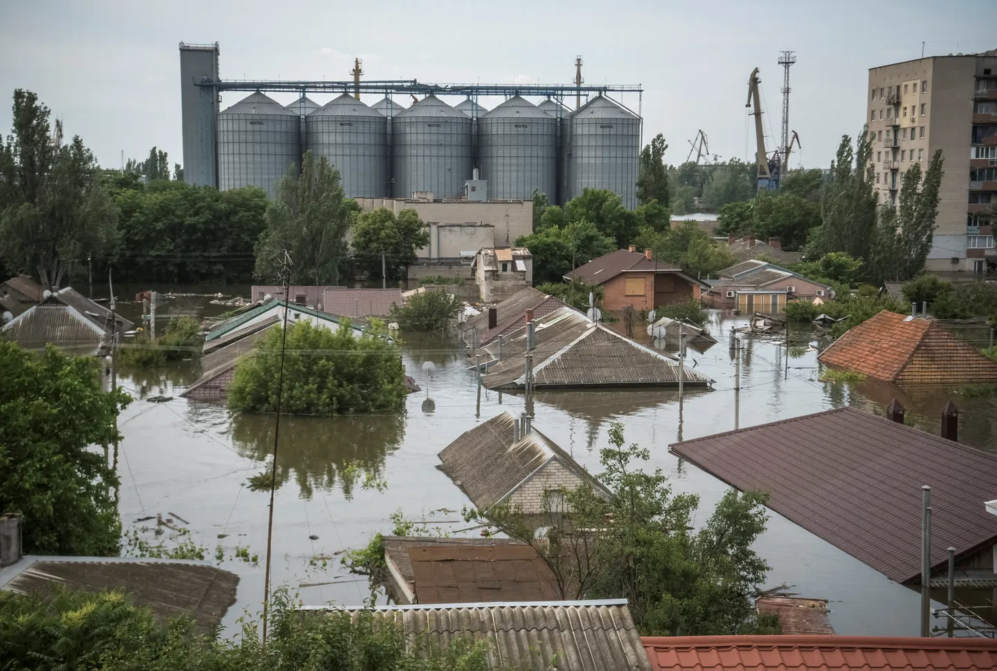 Raksta foto