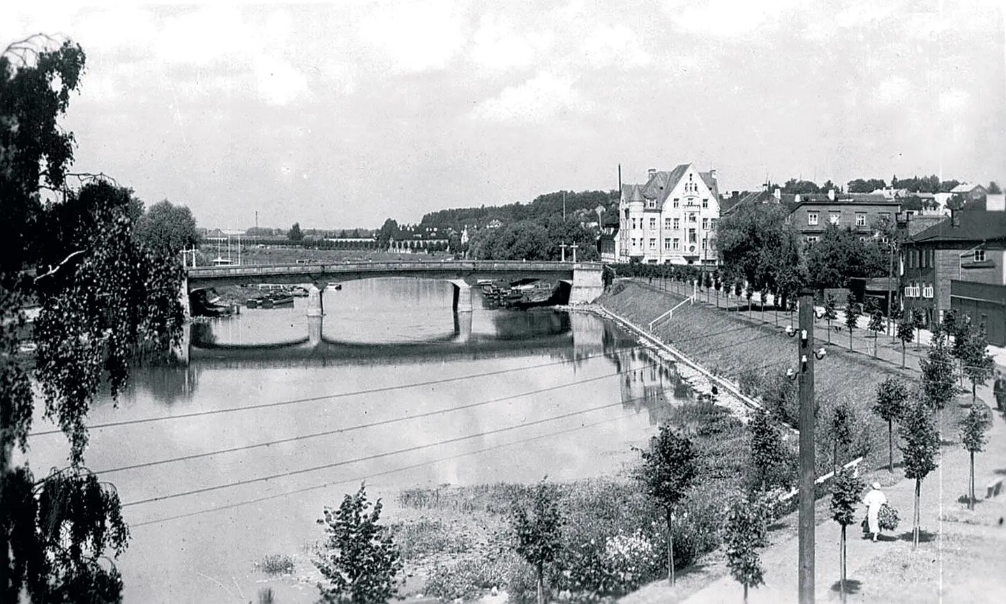 1930. aastate lõpu vaade kesklinna poolt Kvissentali poole. Taamal on üle Vabadussilla selgelt näha noorte lehtpuude rivi. Dendro­kronoloog Alar Läänelaid nentis, et vastuolu dokumentide ning sadakond aastat praktiseeritud puurproovimeetodi vahel on talle esialgu mõistatus.