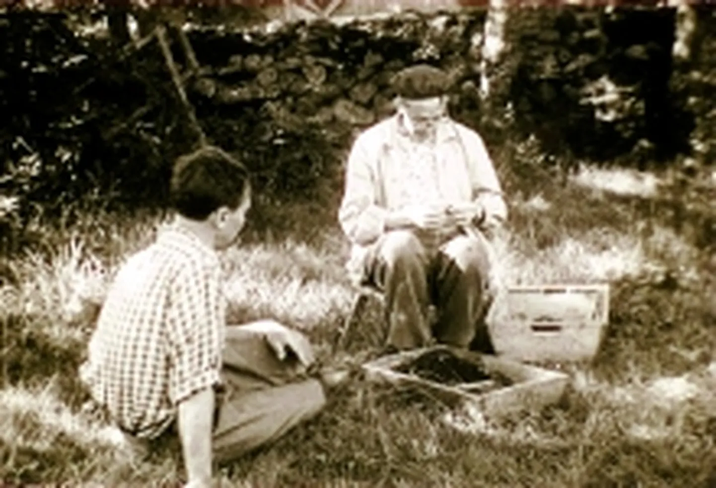 Artikli foto