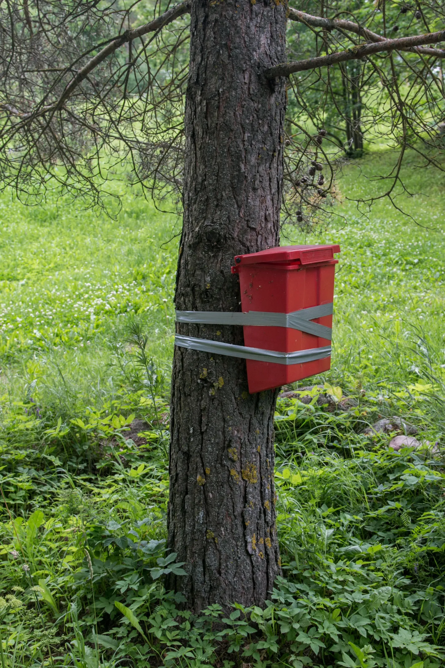 Kas see on postkast, mille arvelt on kokku hoitud, või hoopiski uue aja mood – taaskasutus? Või pelgavad ehk omanikud järgmist äikesetormi?