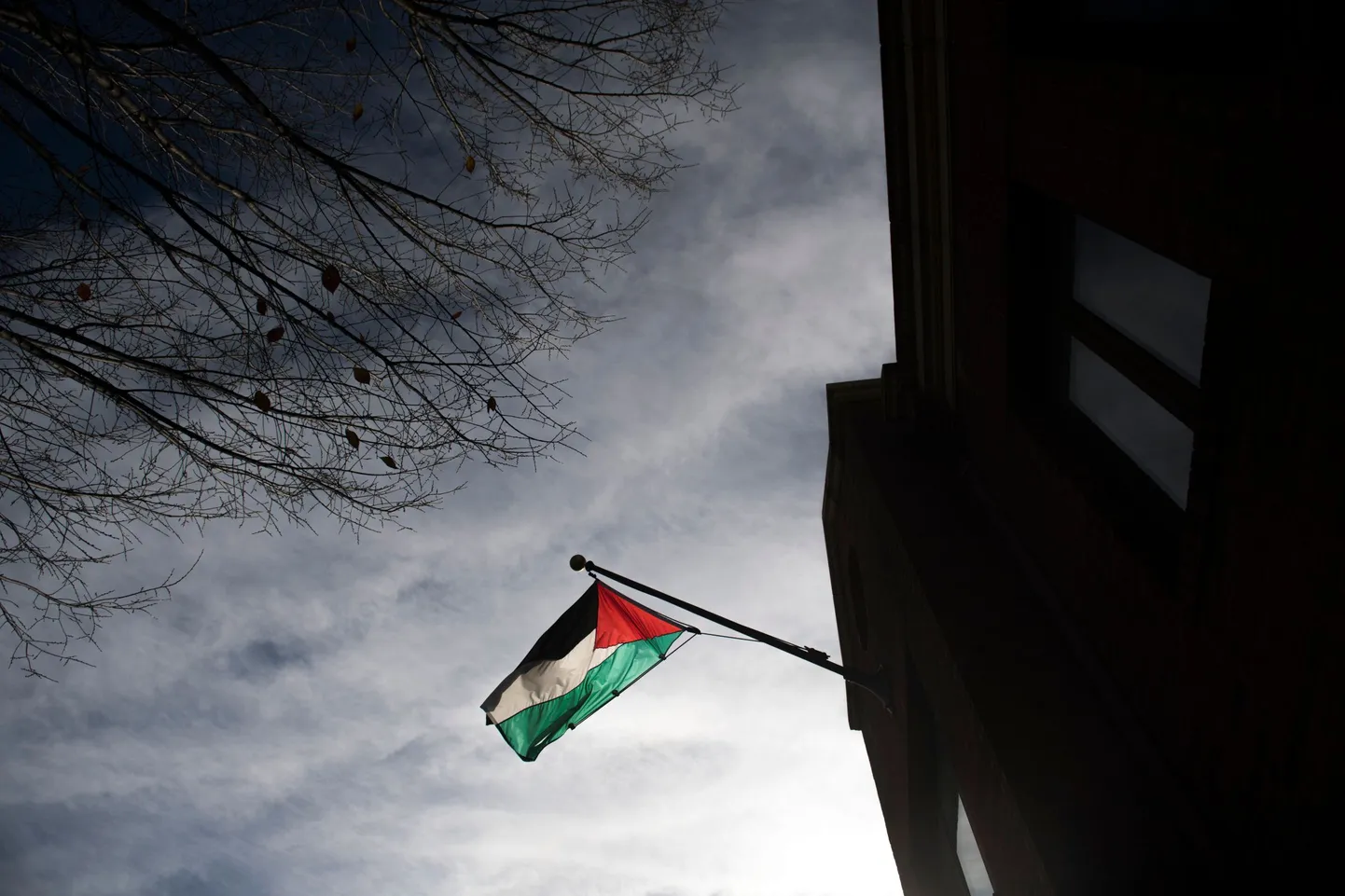 Palestiina lipp.