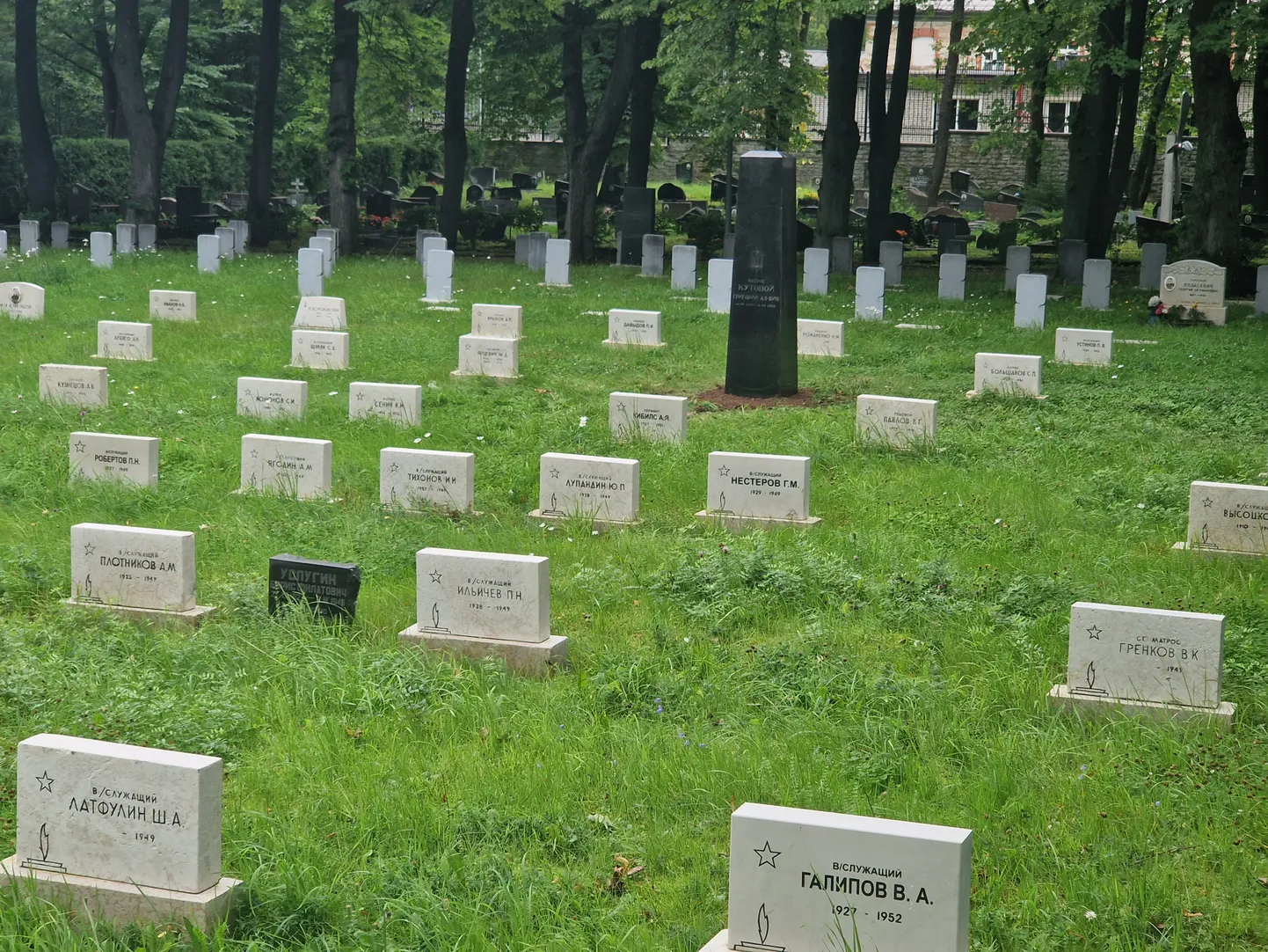 Artikli foto