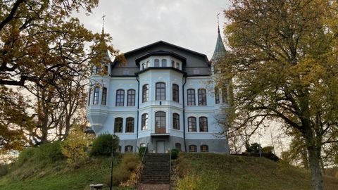 СОВРЕМЕННАЯ ПРИНЦЕССА ⟩ Эстонка перестраивает грандиозный замок в Швеции: деньги приходят и уходят, как вода  сквозь пальцы