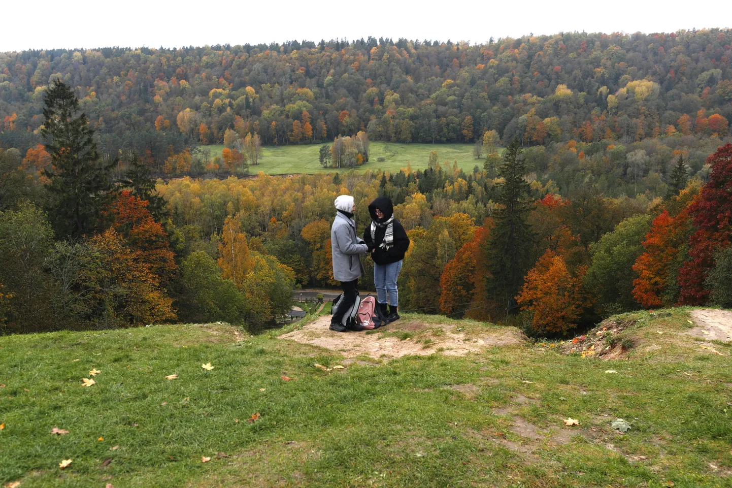 Raksta foto
