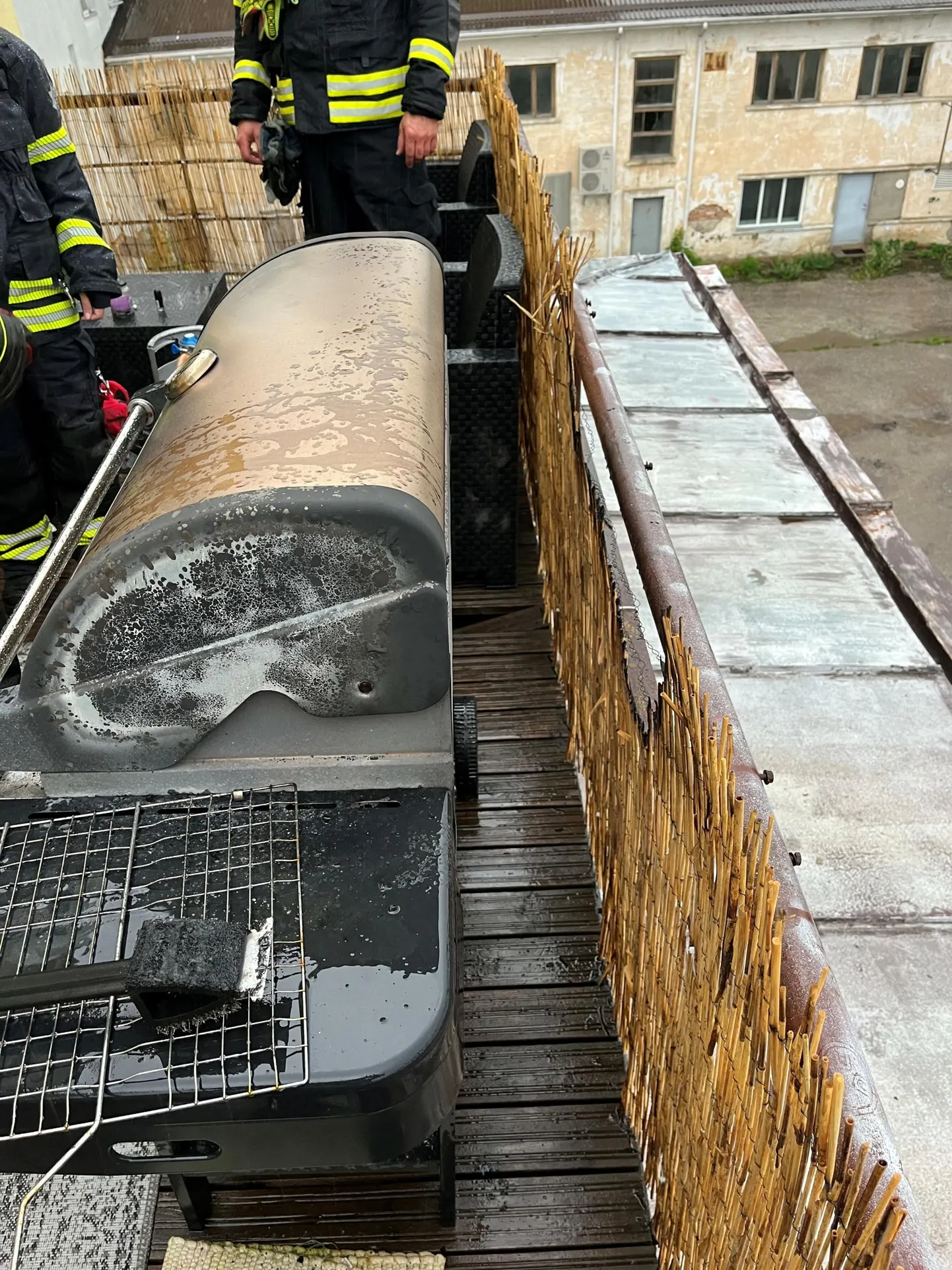 Rakveres süütas grill bambuspiirde.