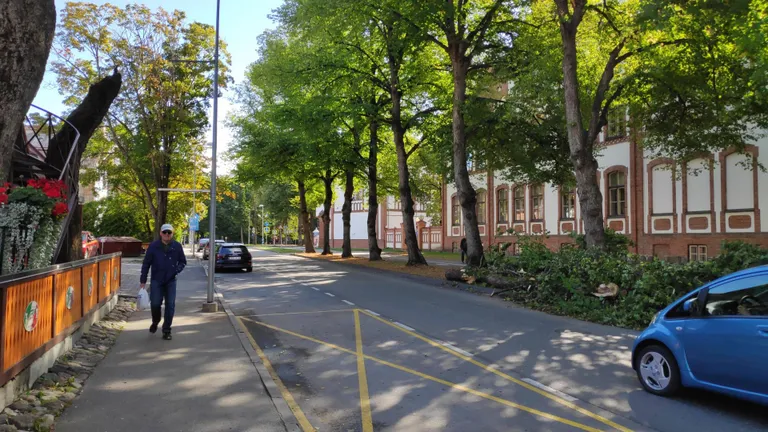 Teele varisenud vahtrast on päev hiljem järgi murdunud tüvi ja teepervel lamavad oksad.