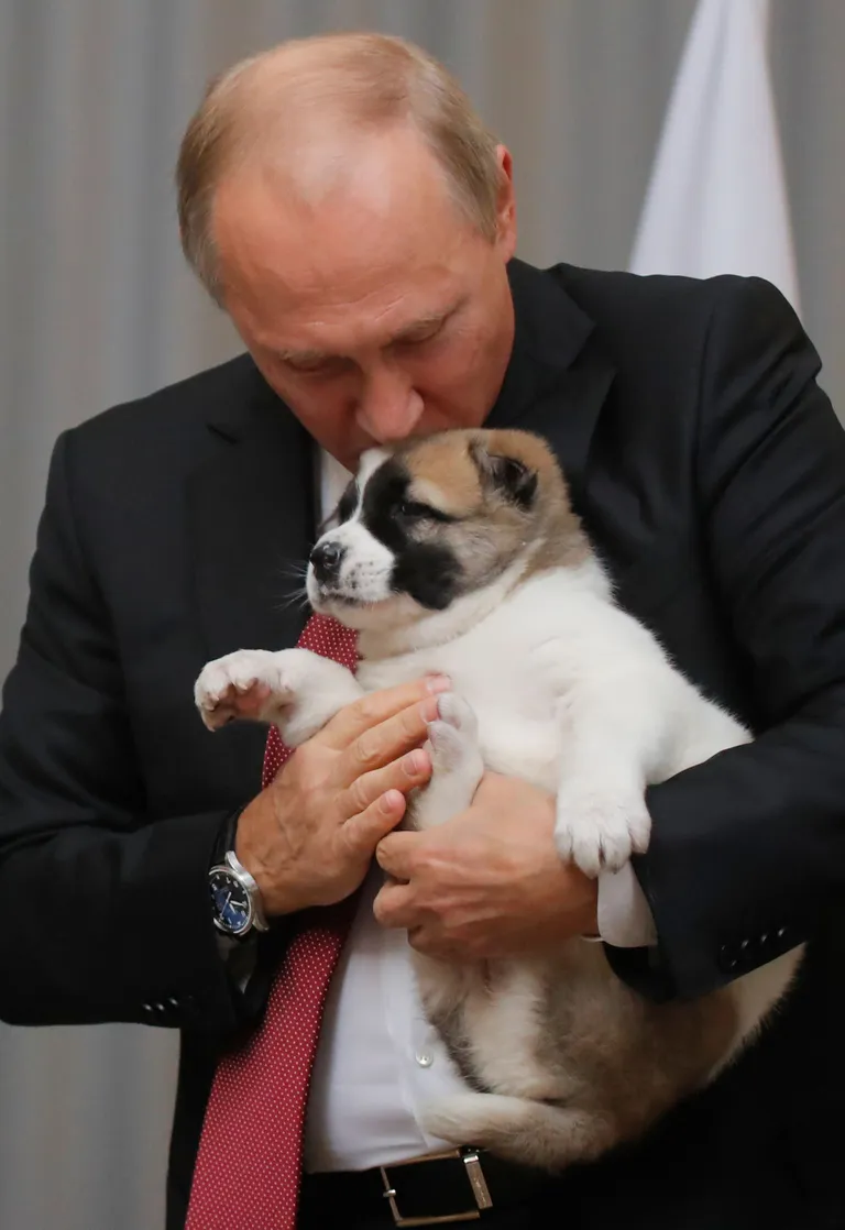 2017 sai Venemaa president Vladimir Putin lambakoera Türkmenistani presidendilt Gurbanguly Berdimuhammedowilt
