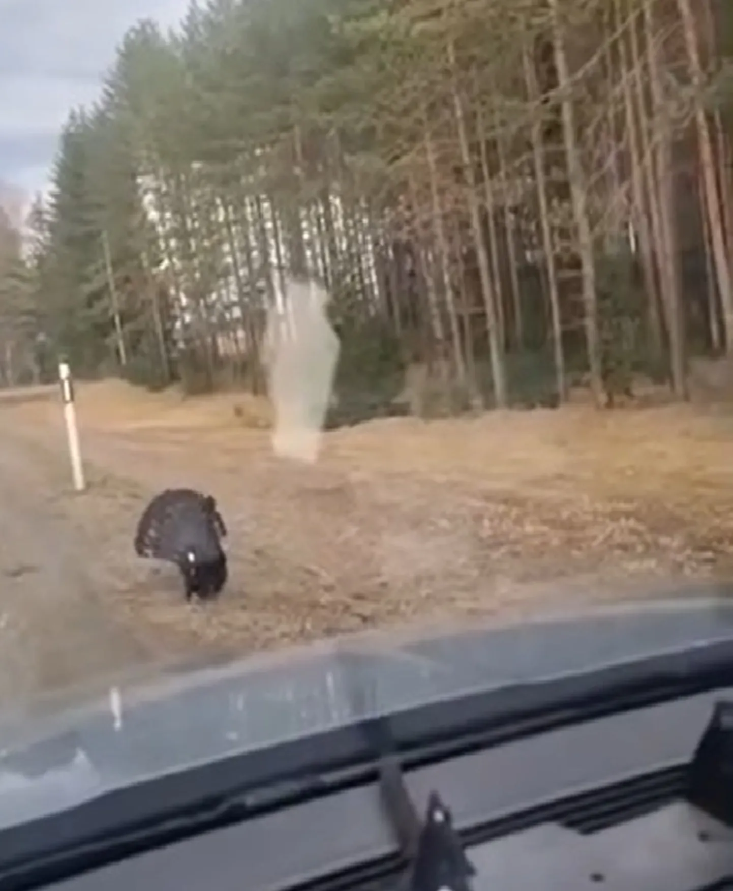 Kuvatõmmis videost