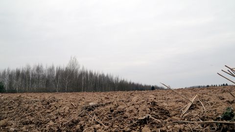 MAAREFORMI LÕPP ⟩ Tähtajaks reformimata maad lähevad riigi omandisse