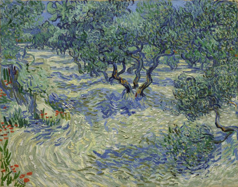Vincent van Goghi maal «Oliivipuud»