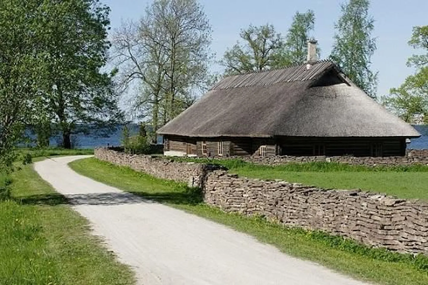Фото статьи