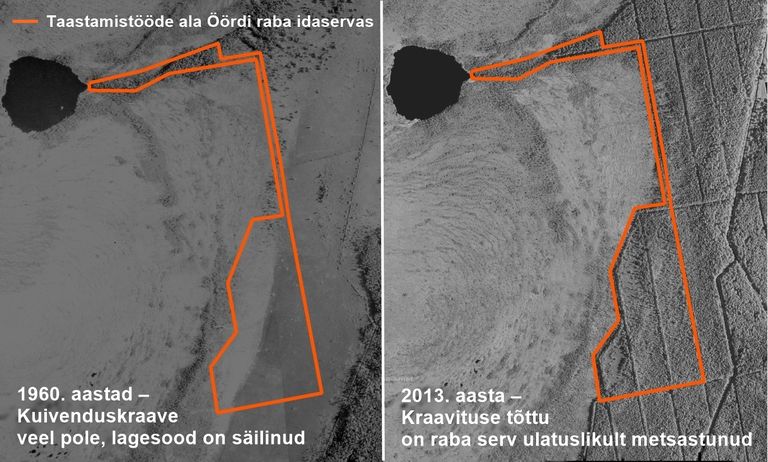 Soomaa rahvuspargi Öördi raba idaserv enne ja pärast kuivenduskraavide rajamist. Oranžiga märgitud ala on üks neist, kus RMK kraavide sulgemise tööd on praegu käimas
