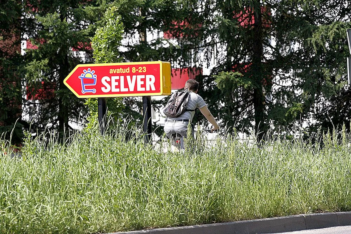 Ringtee Selveri juures on linna maal kõrges heinas haljasala kõnnitee ja Aardla tänava vahel.