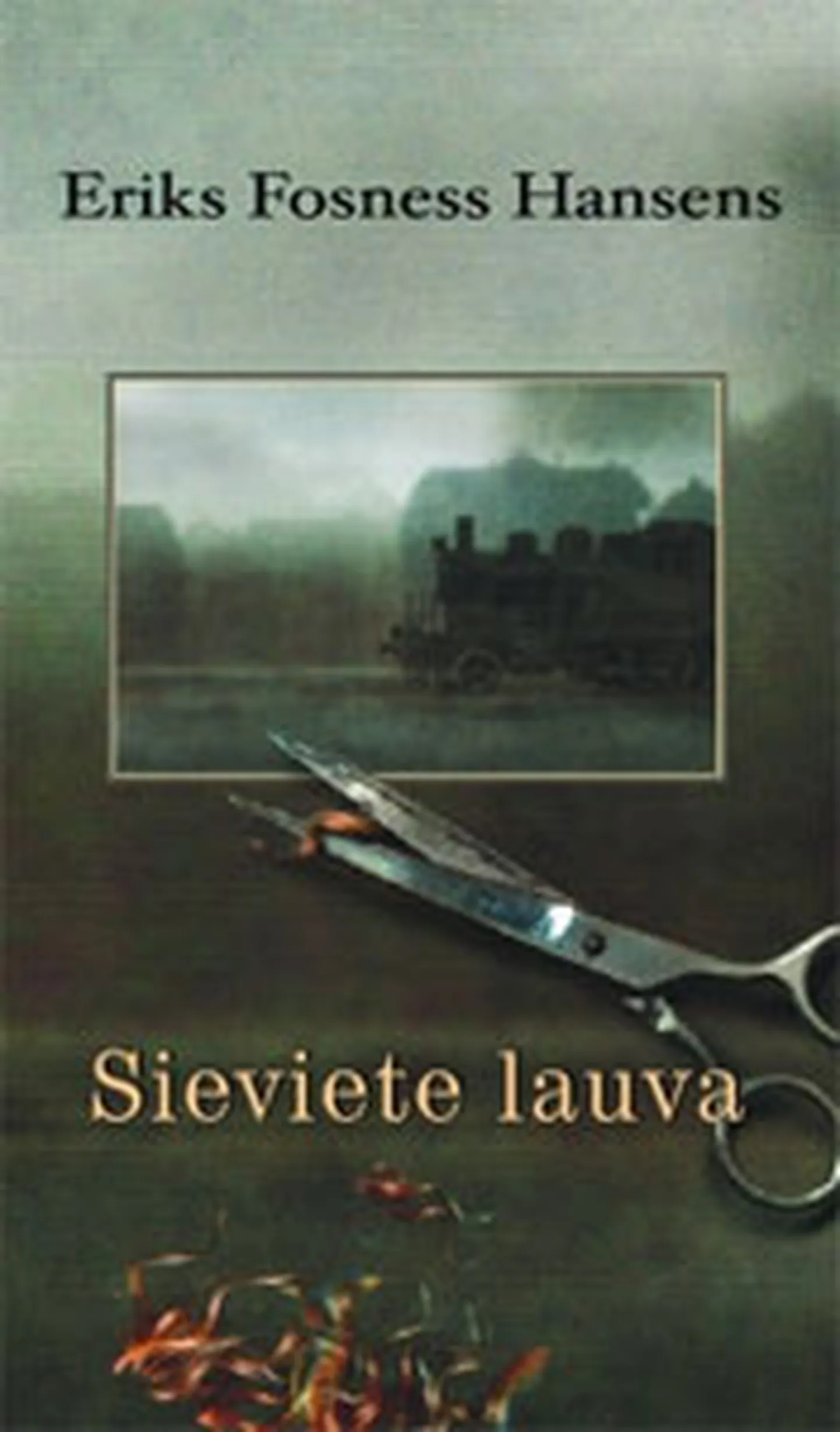 Raksta foto