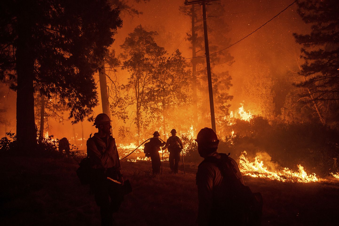 Eelmisel aastal toimunud metsapõleng Californias.