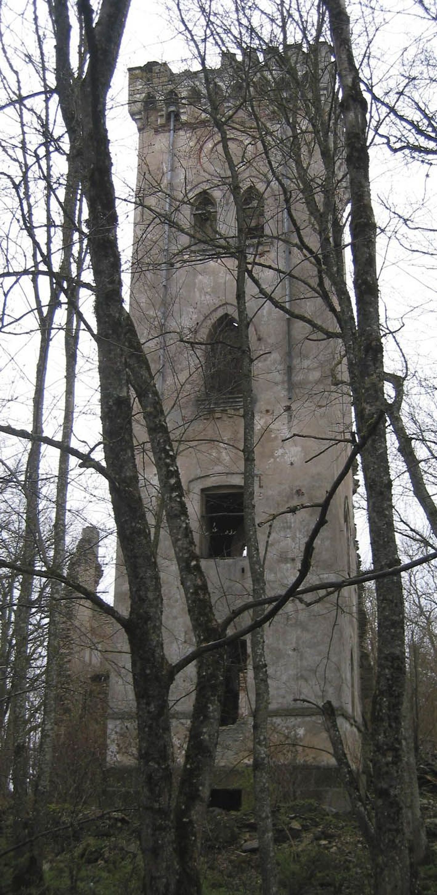 Tõõrakõrve külas asuvast Lehtse mõisa tornist võib tulevikus saada üks Tapa valla sümbolitest, kui torni konserveerimiseks vajalik raha leida suudetakse.