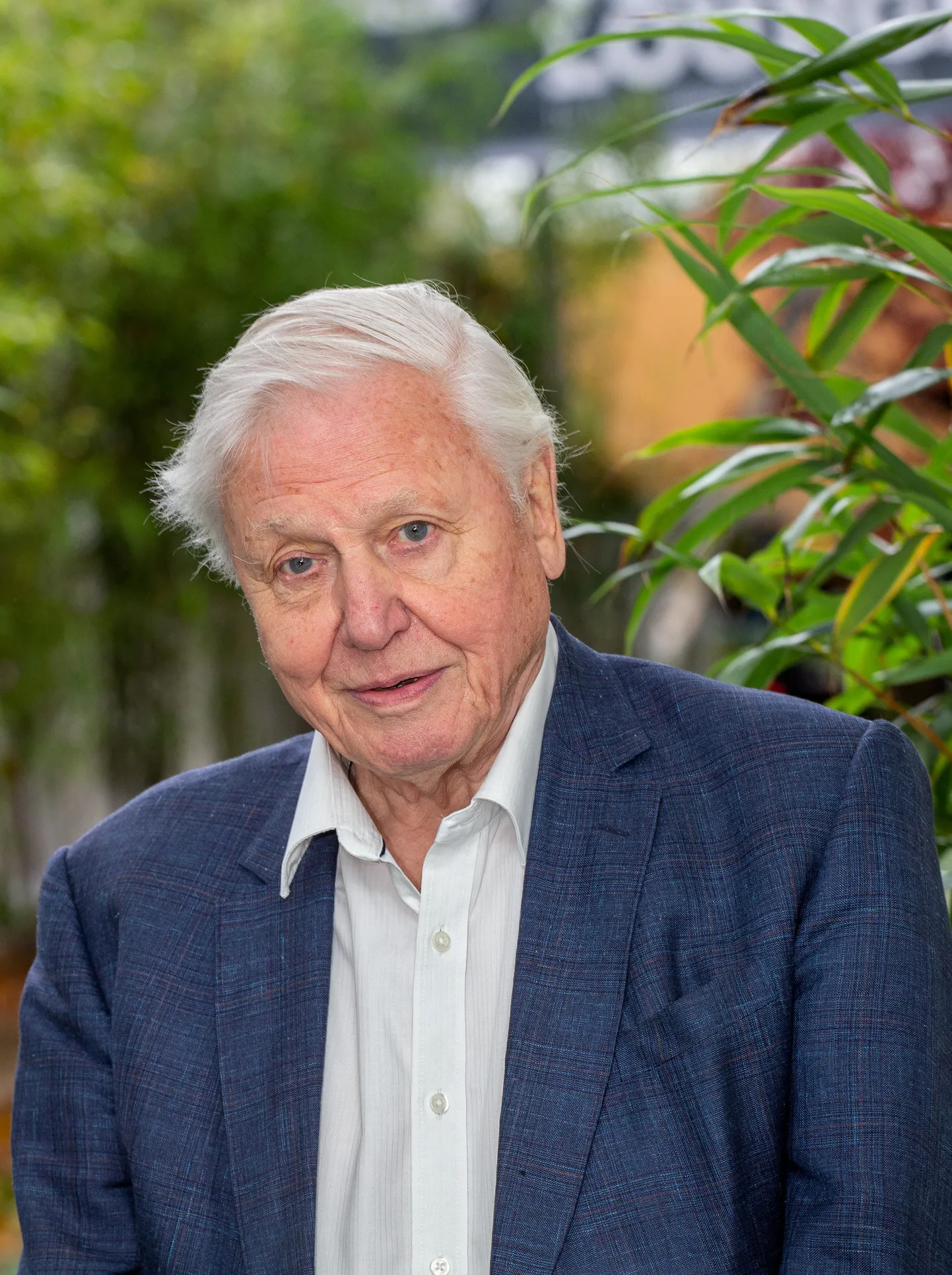 David Attenborough.