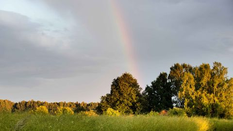 Синоптики ⟩ На выходных будет умеренно тепло, местами дожди и грозы