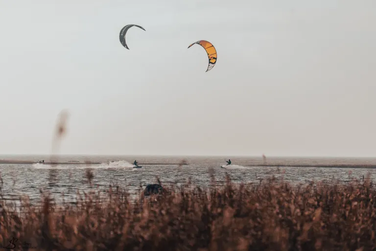 Pärnumaa meistrivõistlused lohesurfis.