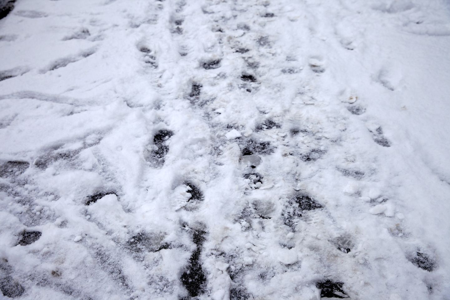 Pēdu nospiedumi sniegā; ilustratīvs foto.