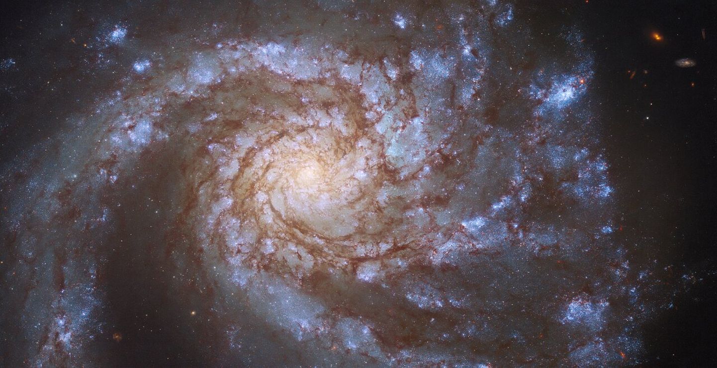 M99 galaktika