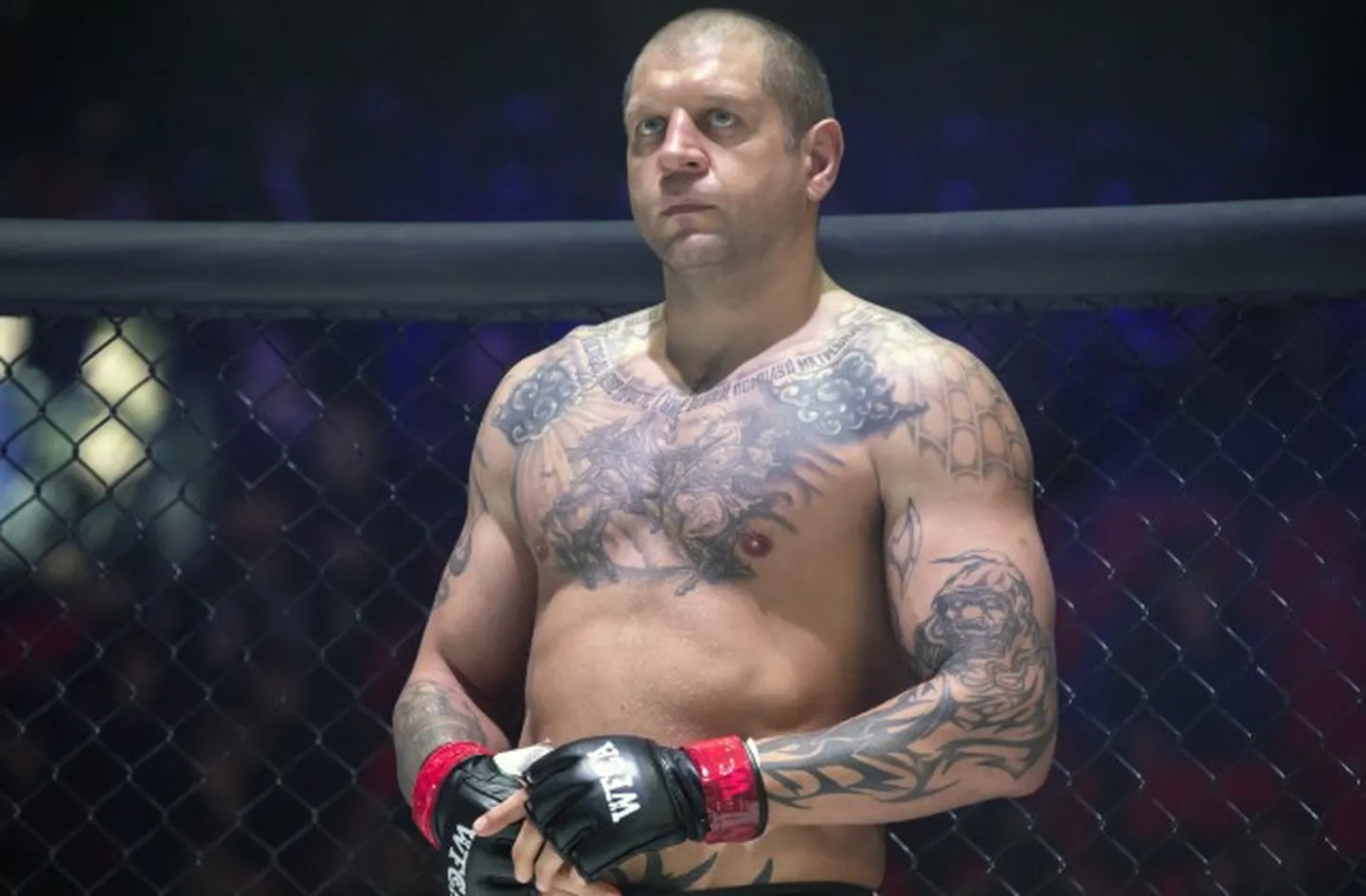 Александр Емельяненко
