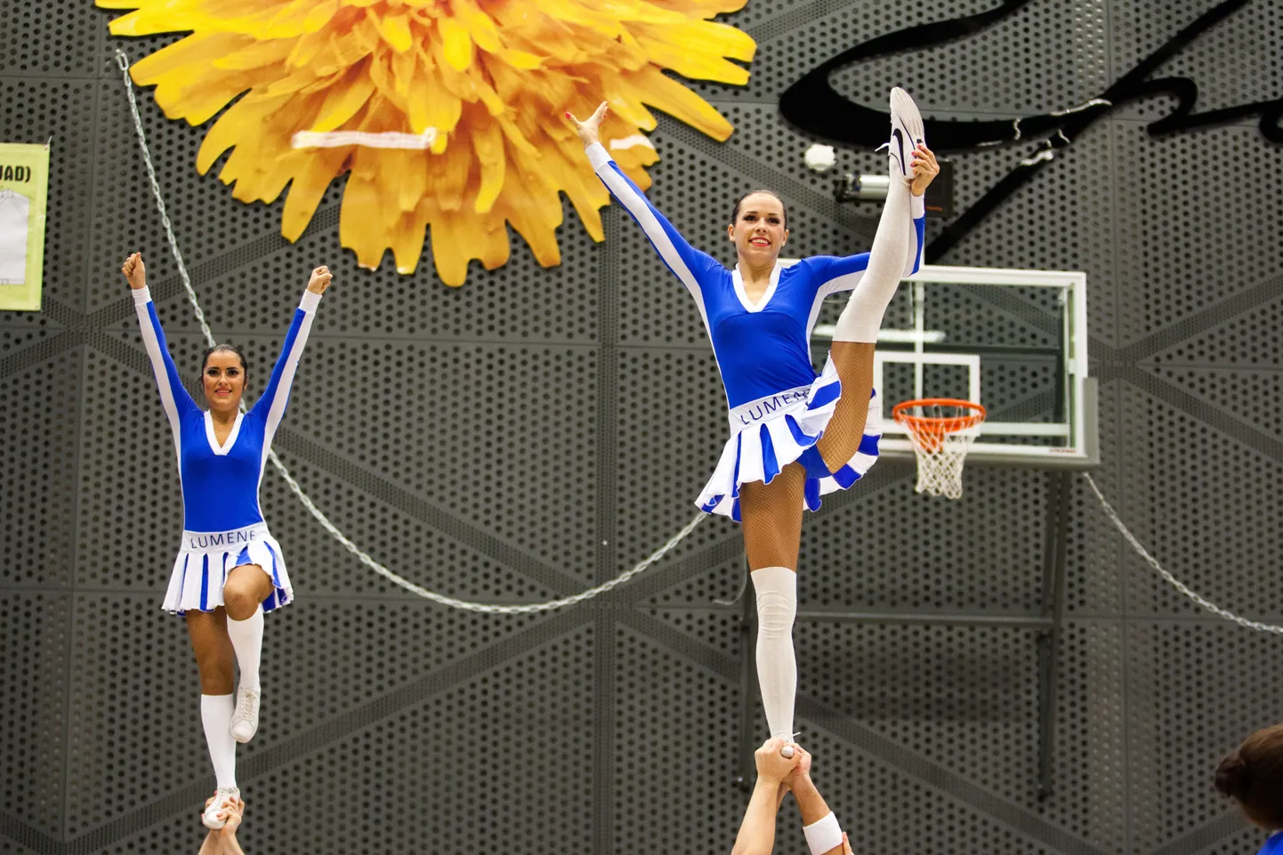 GymnaFest 2013.