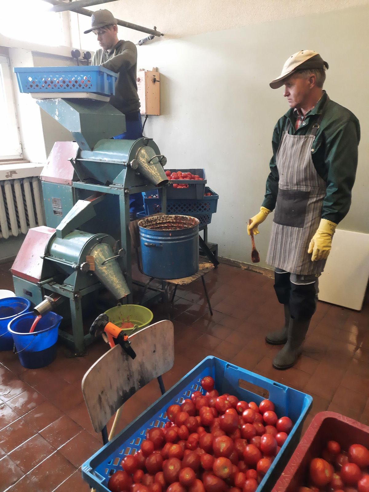 3. Tomatid lähevad Heiki Küngase ja Raivo Leppiku abil suurde pressi, mille ühest torust tuleb välja mahl ja teisest seemned.