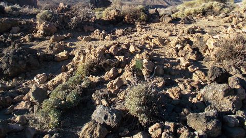 Põhja-Tenerife: paradiis ilma maota