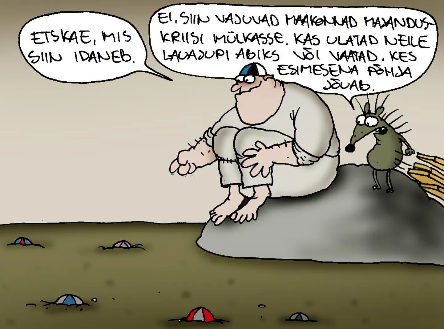 Maakonnad majanduskriisi mülkas
