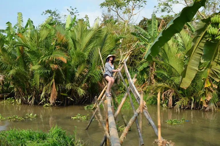 Monkey bridge Vietnamis