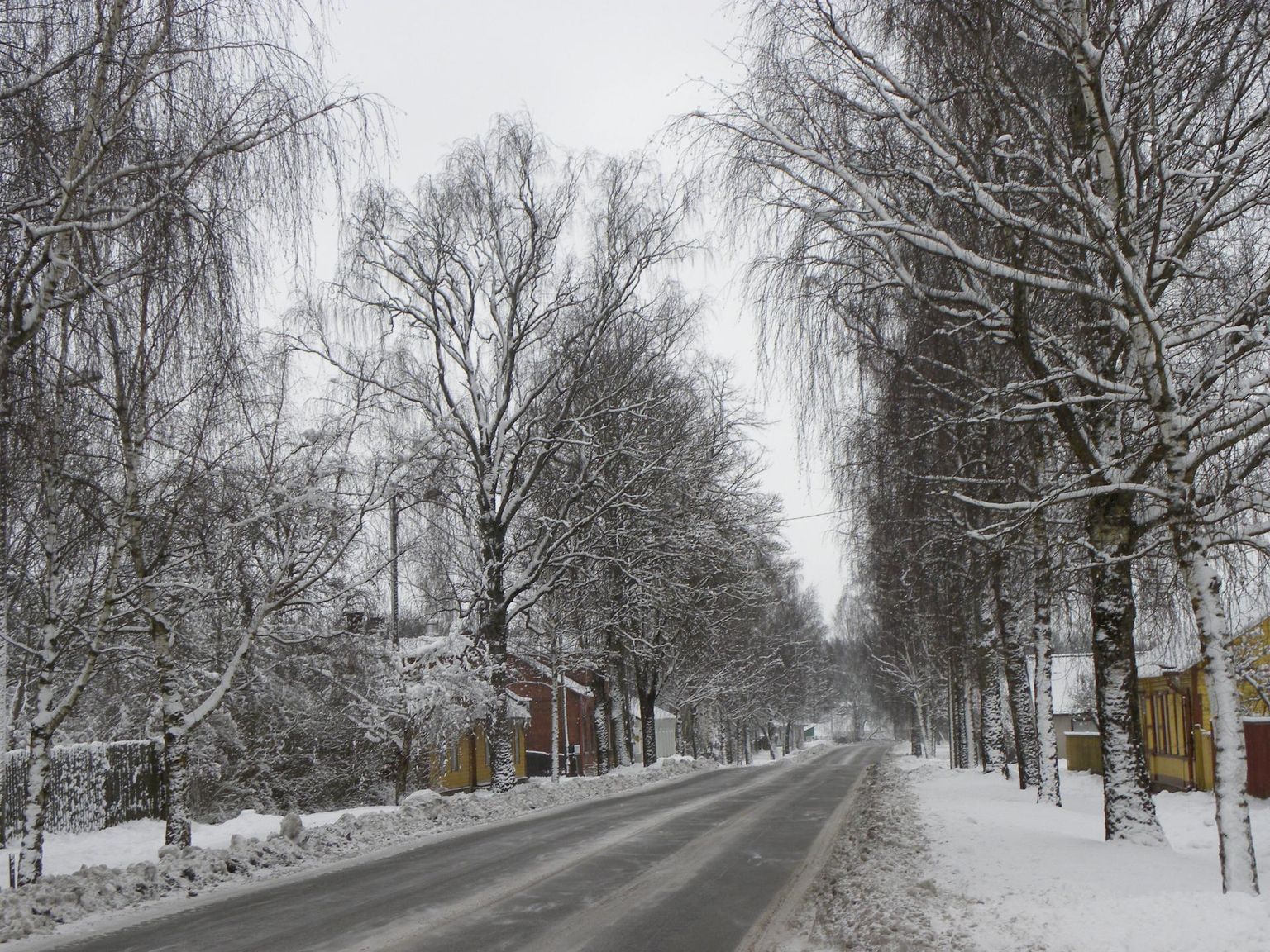 Tartu tänav Rakveres Kondivalu linnaosas on praegu talviselt lumine – suvisel kogukonnaüritusel on see loodetavasti täis mõnusat sagimist ja avatud on aiad, kuhu sisse põigata.