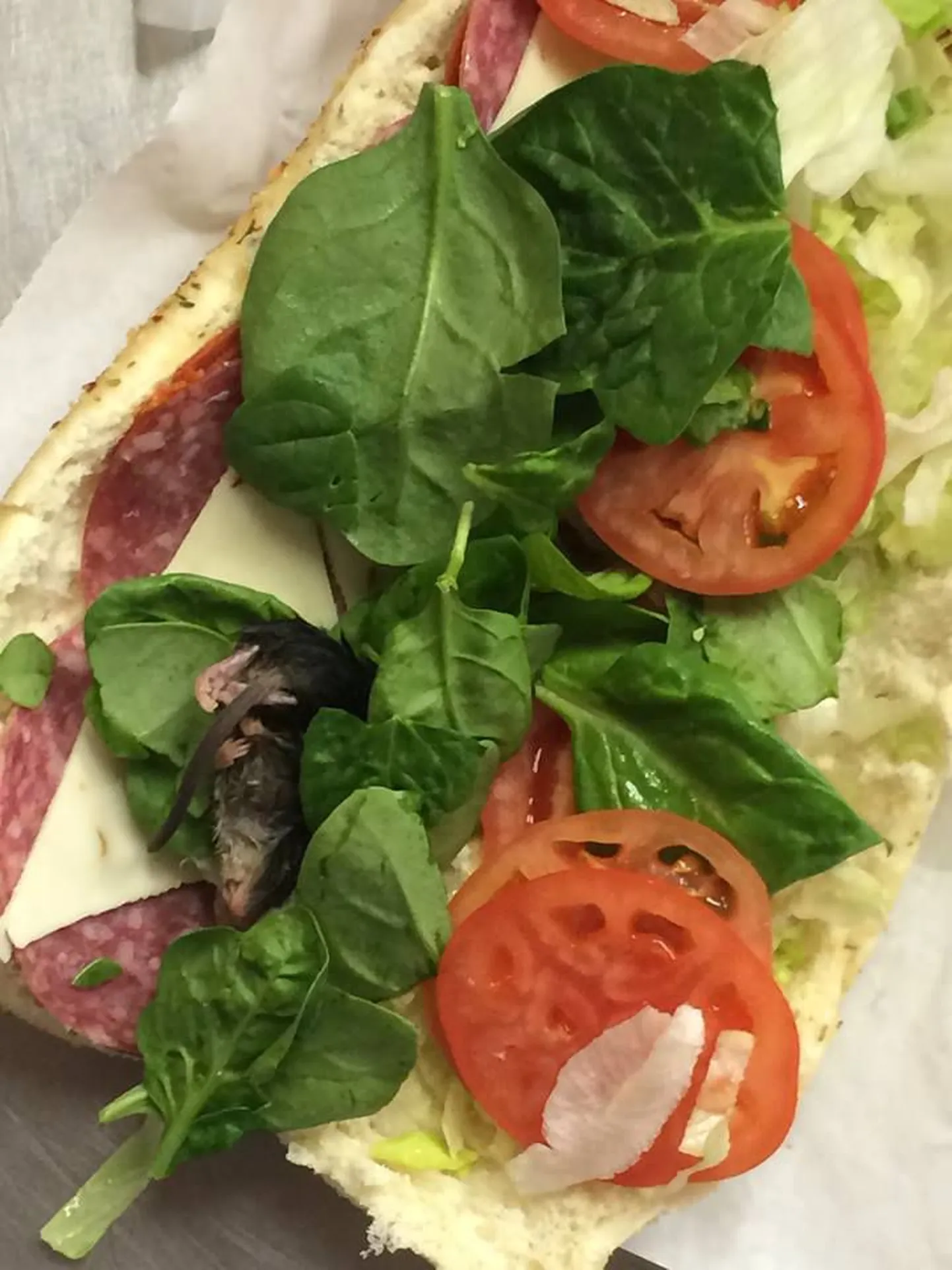 Selline lisand vaatas eelmisel nädalal vastu ühe ameeriklase Subway võileivast.