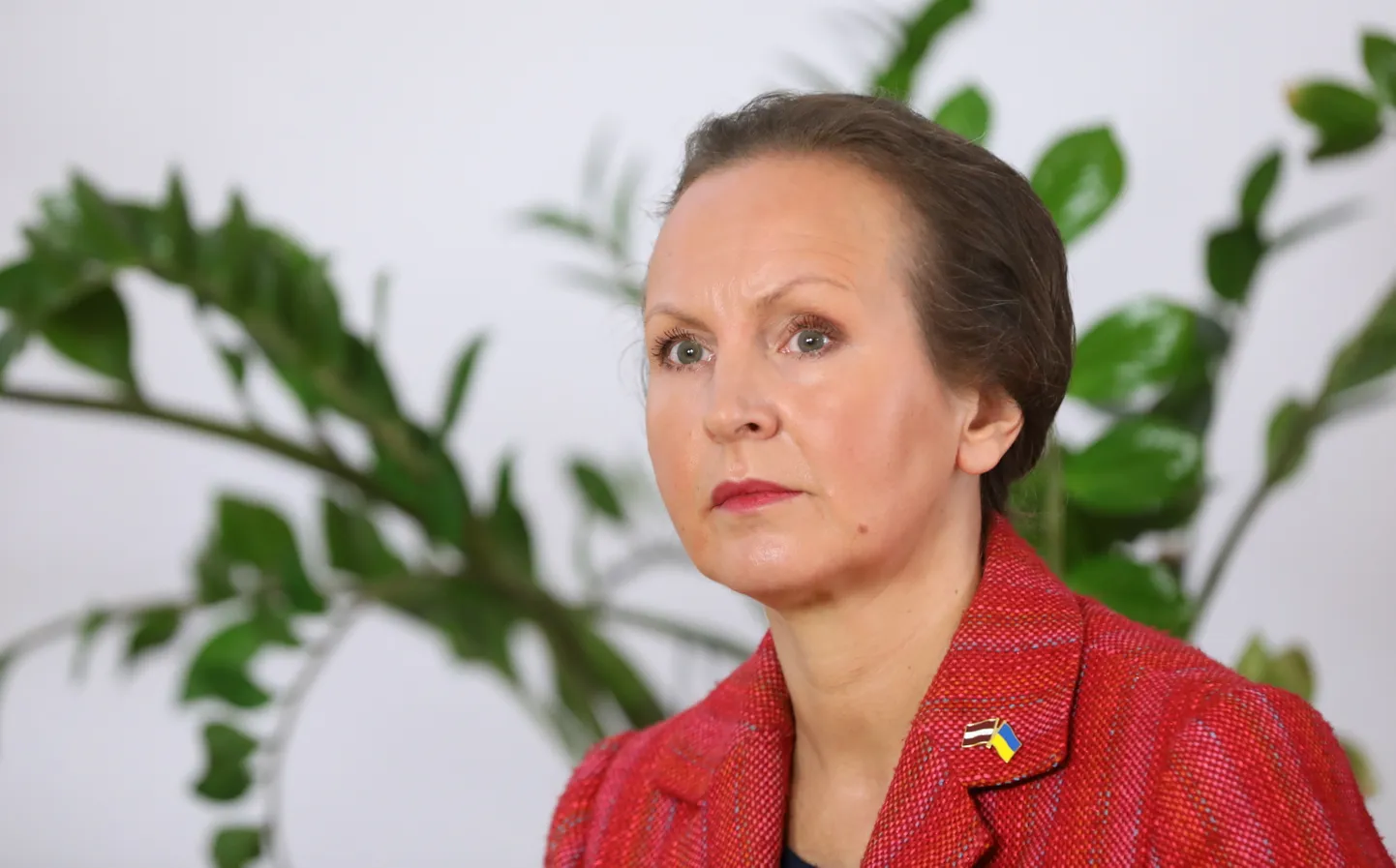 Latvijas Darba devēju konfederācijas ģenerāldirektore Līga Meņģelsone.