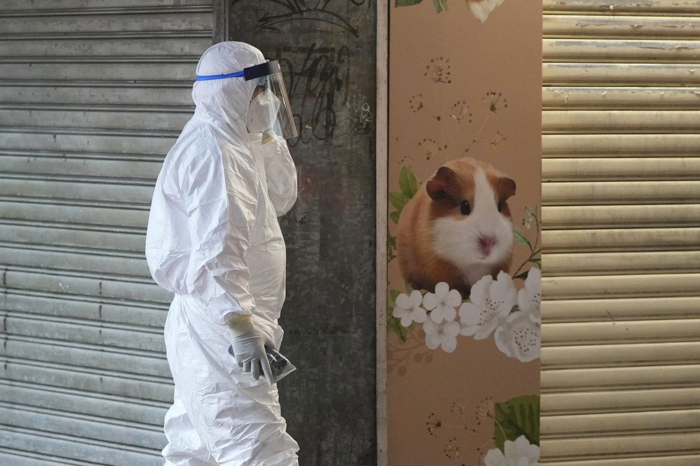 Hongkongi põllumajandus-, kalandus- ja loodushoiu osakonna töötaja lemmikloomapoe juures, mis suleti pärast seda, kui sealsed hamstrid nakatusid koroonaviirusega.