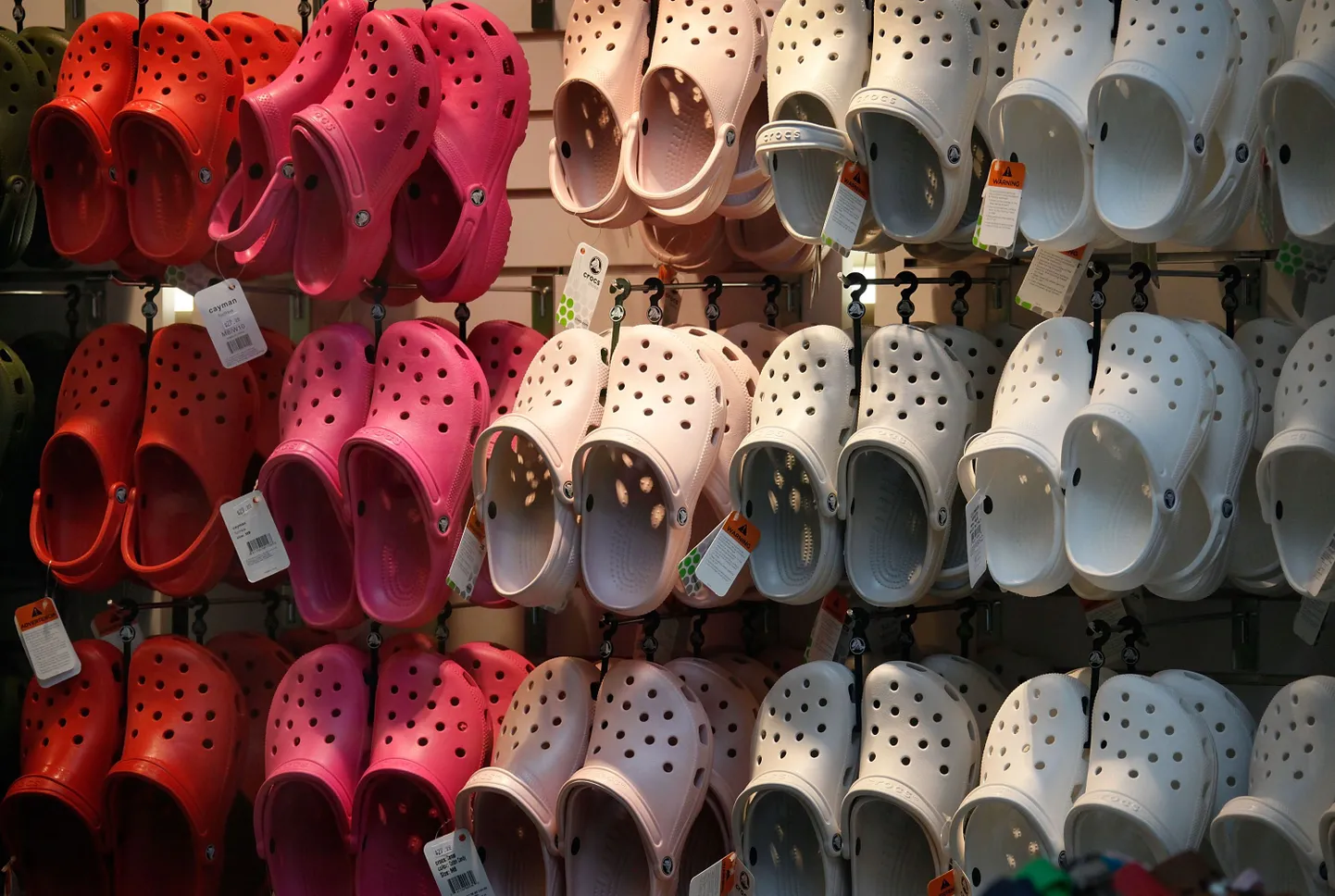 Crocsid