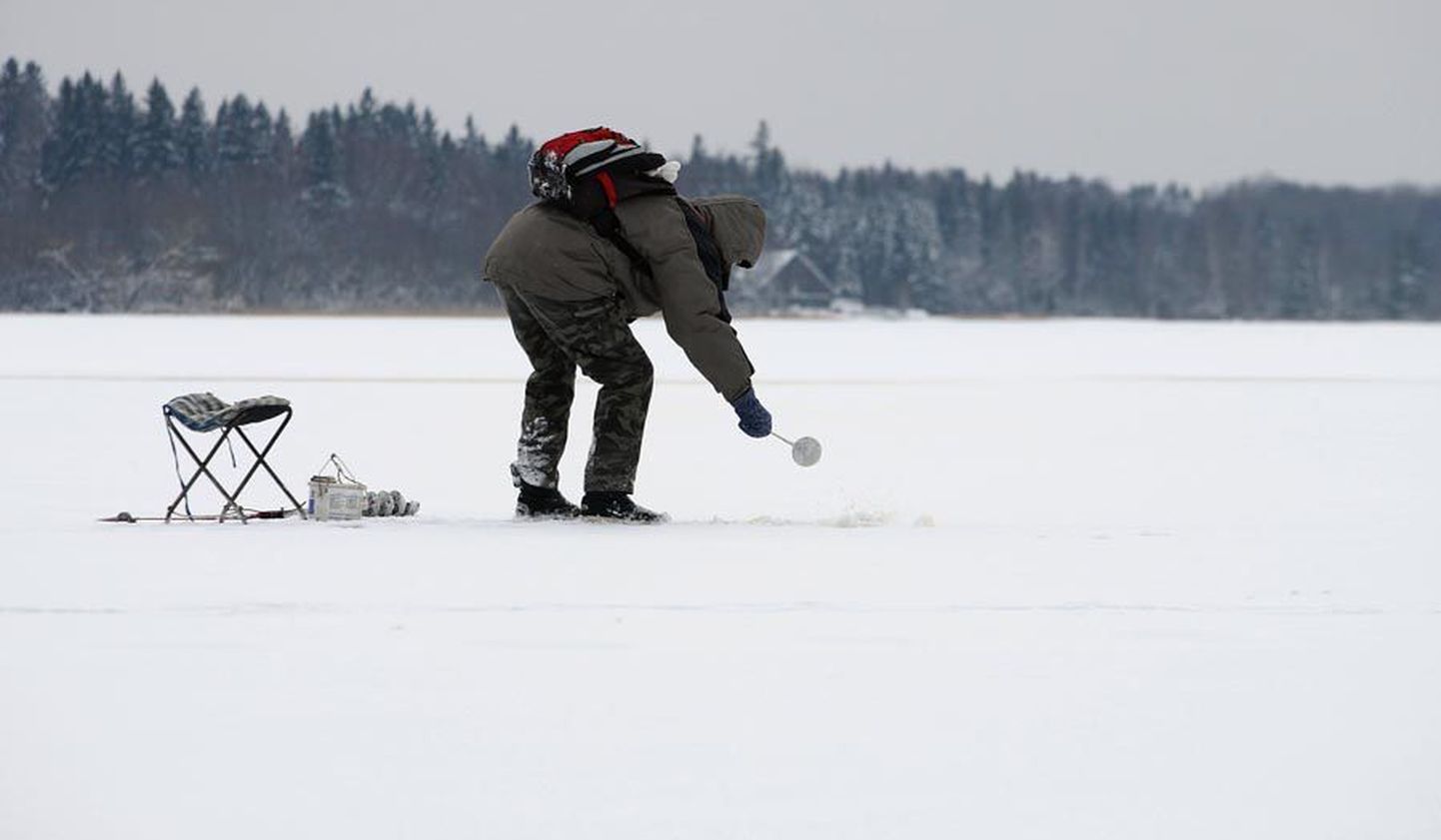 Kuigi päästjad keelitavad inimesi veekogudest eemale hoidma, võis eile Viljandi järvel Valuoja suudme lähedal näha toimetamas mitut kalameest.