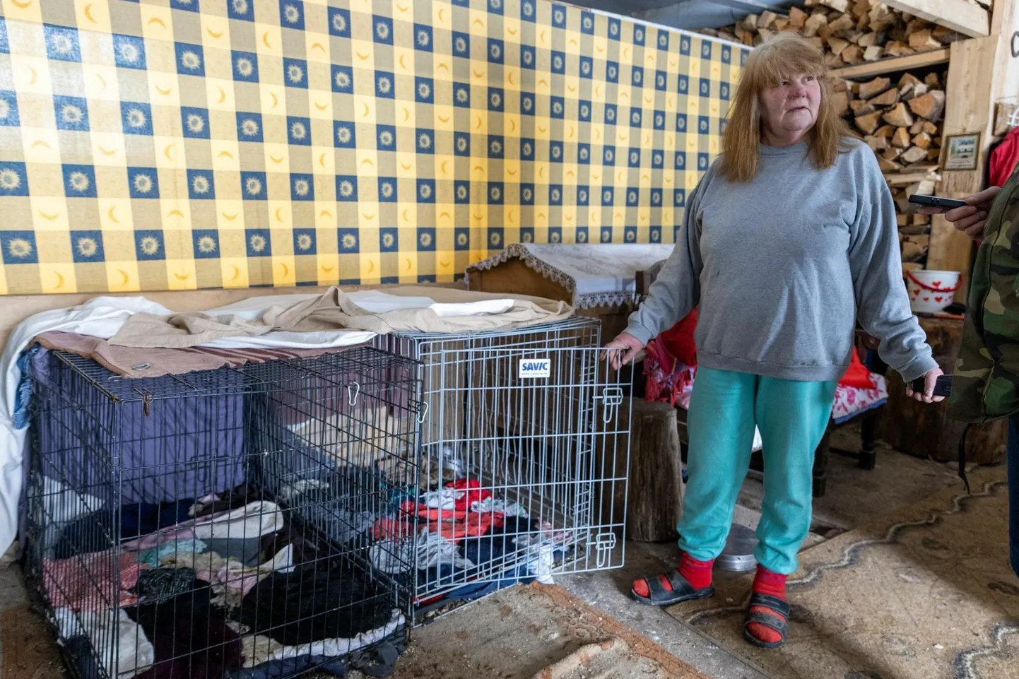 Koertest ilma jäänud naine üritab vähemalt osa loomadest tagasi saada.