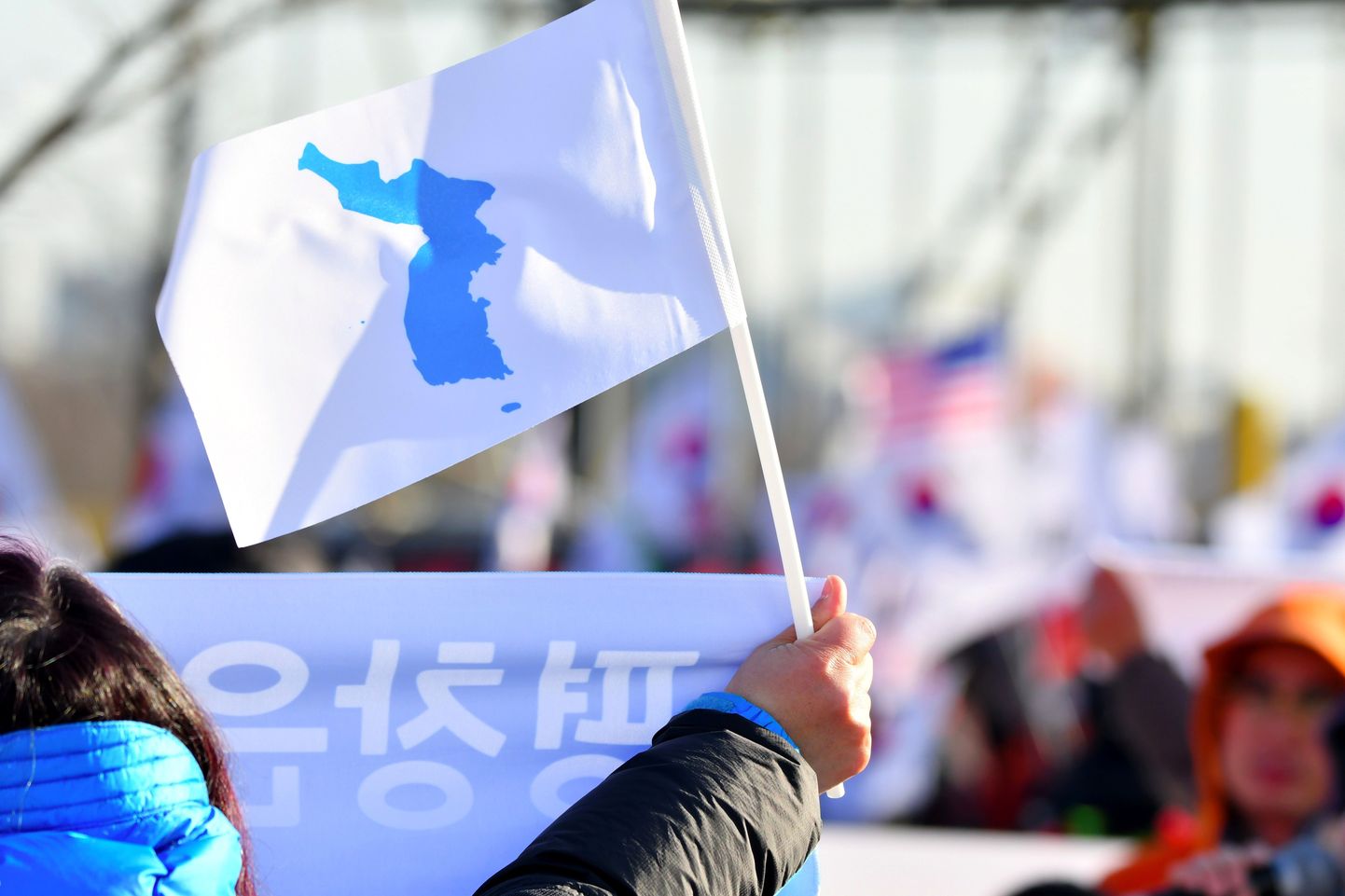 Kahe Korea ühine olümpialipp Pyeongchangi mängudel.