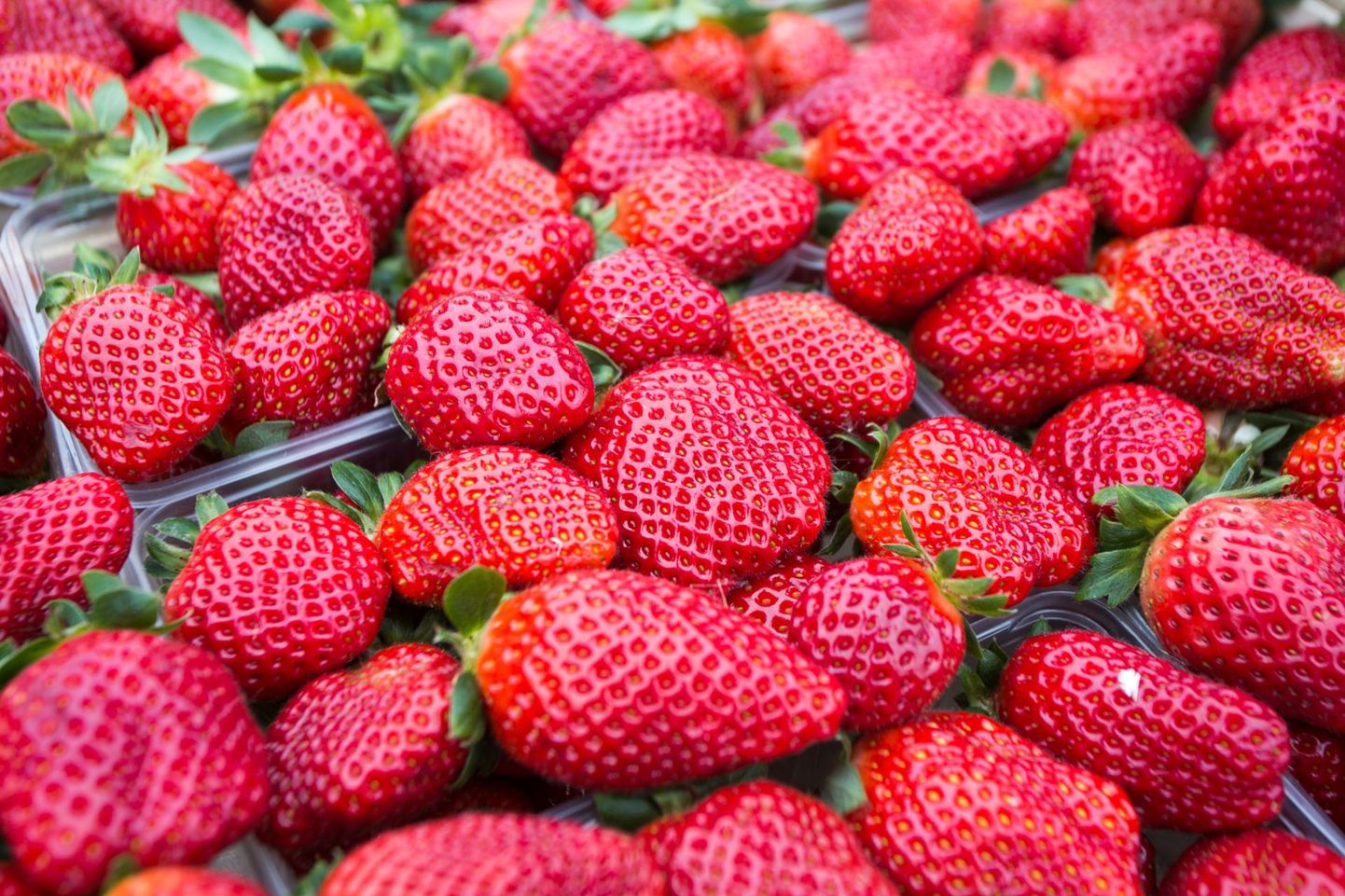 Kuigi kodumaisestki maasikast on taimekaitsevahendite jääke leitud, on neid märksa vähem kui välismaistes maasikates.