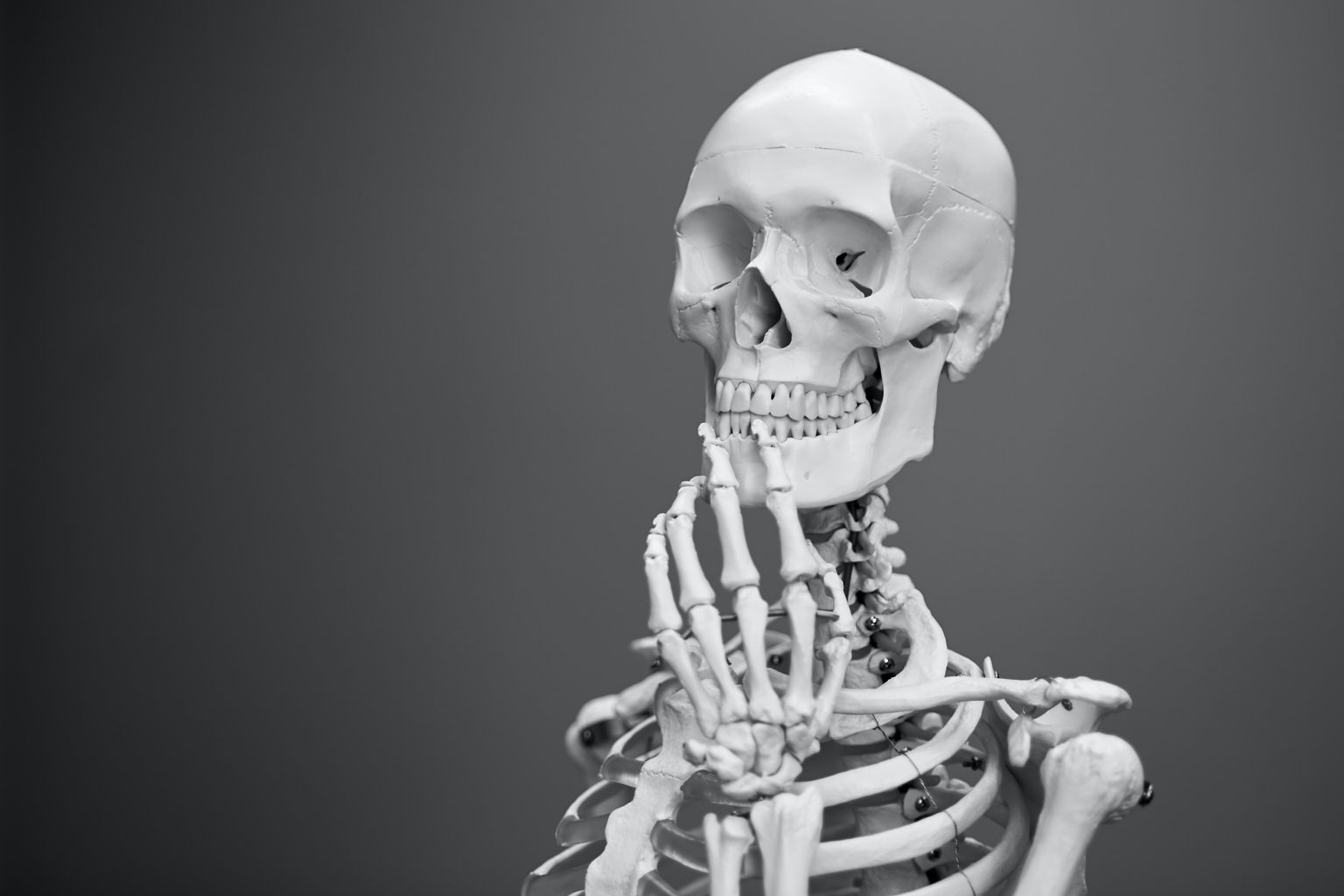 Cilvēka skelets.