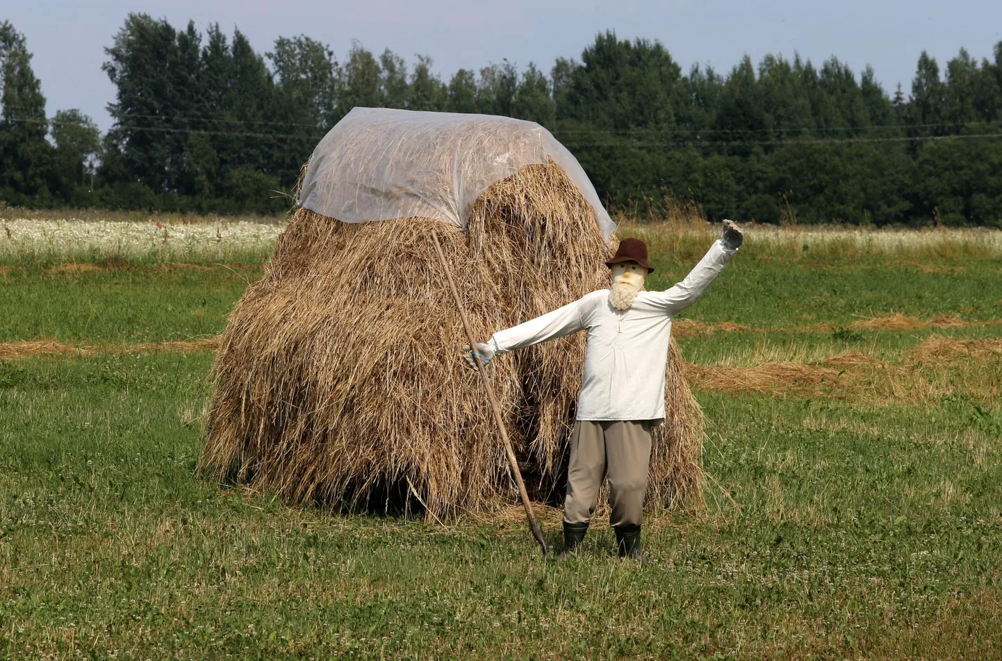 Pala külje all tervitab ralli­sõpru ka põllu peal olev puukuju.