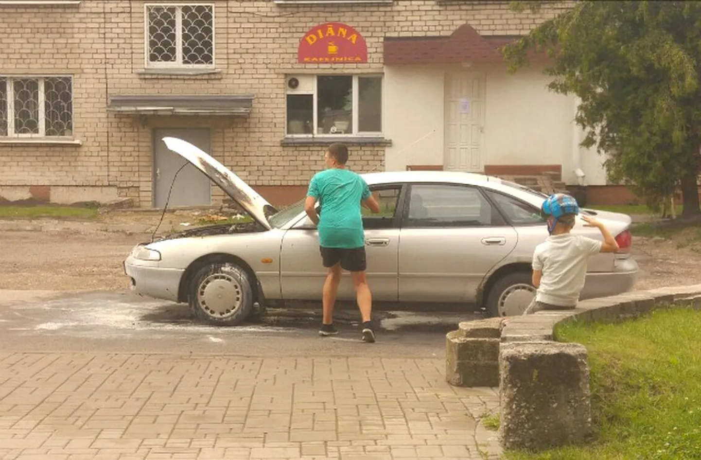 Фото статьи