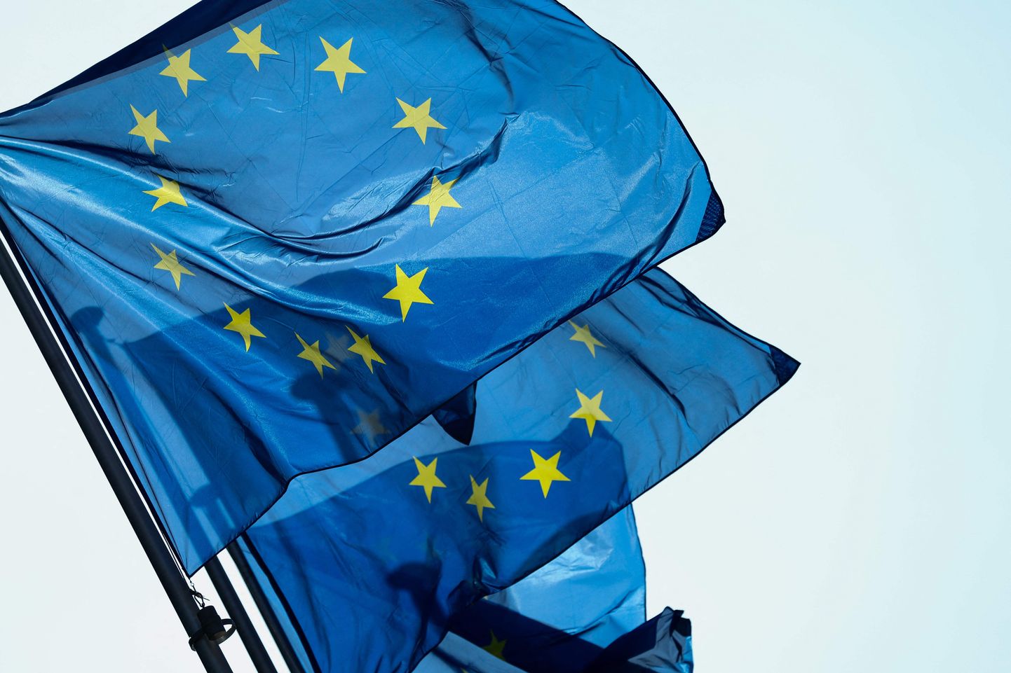 Lipud Euroopa Komisjoni peakorteri ees Brüsselis.