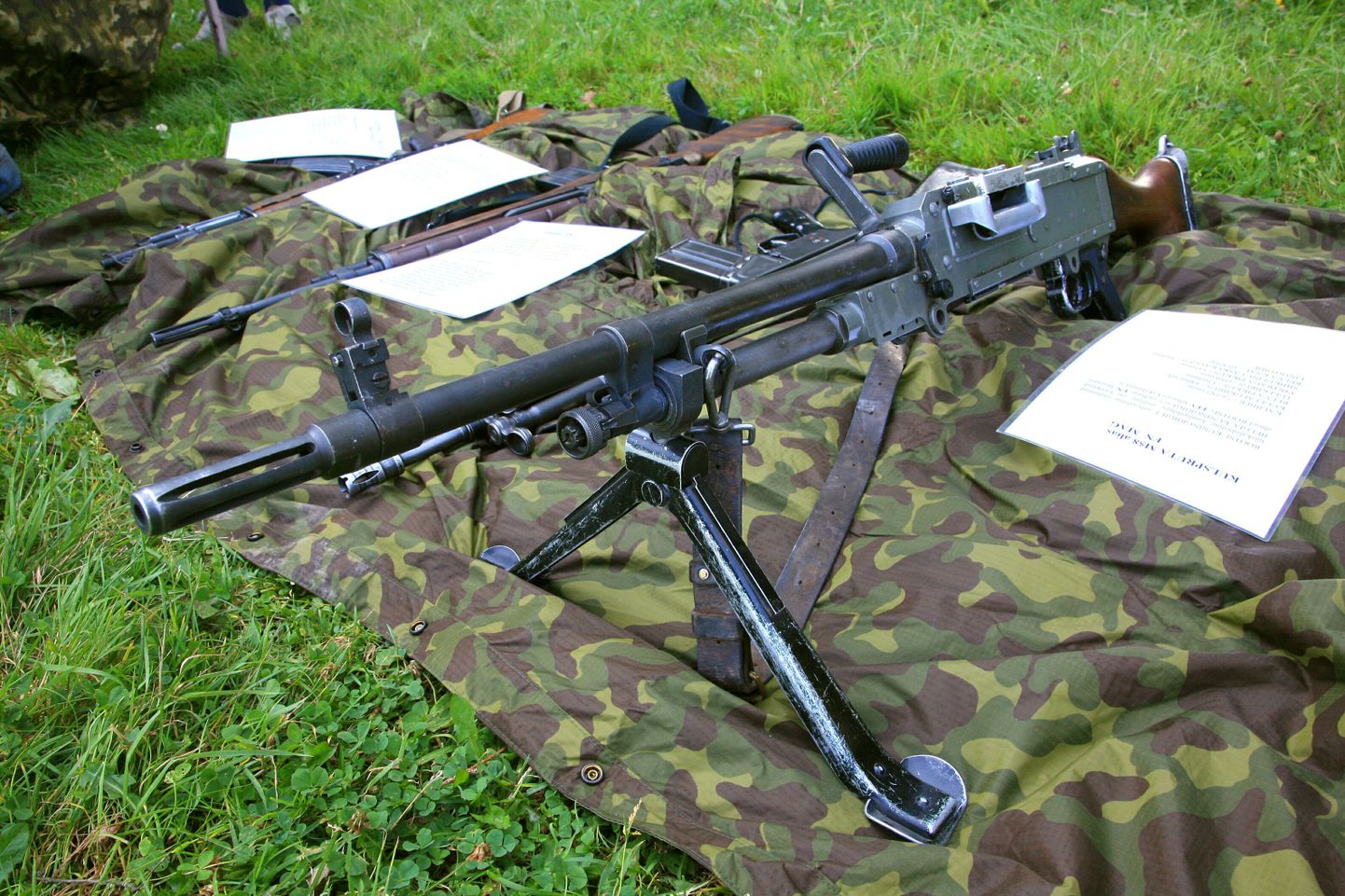 Isadepäeval saab Pärnu keskuses relvi uudistada.