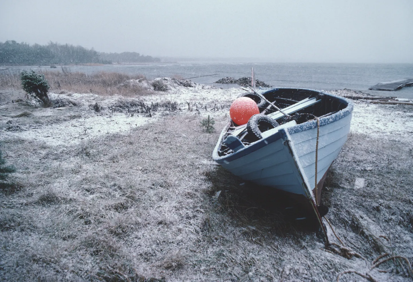 Gotland, Rootsi.