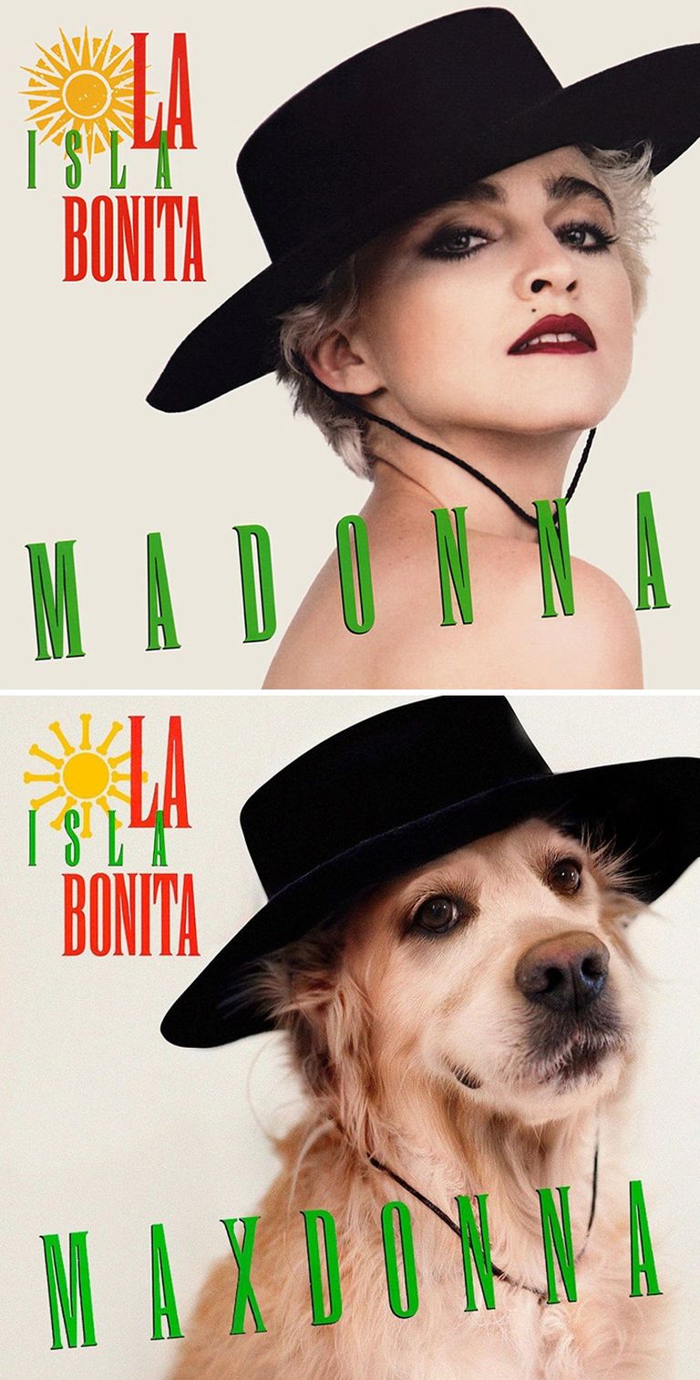 Jaunākais Vensāna un Maksa mākslas darbs – albuma "La Isla Bonita" vāciņa imitācija