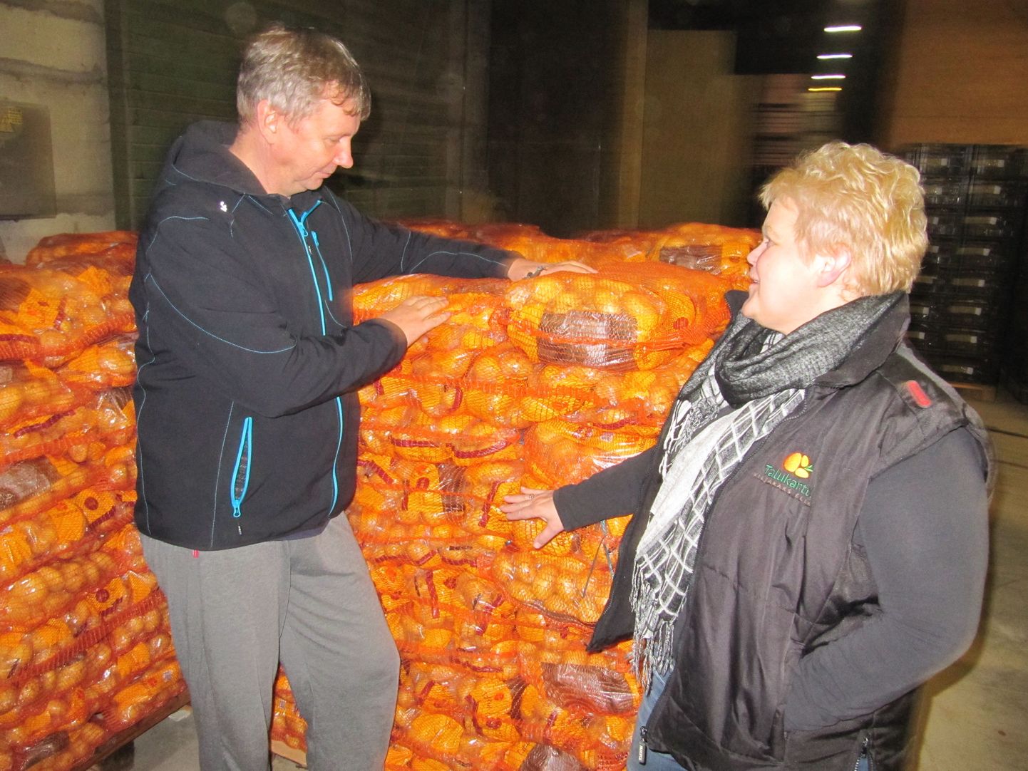 TÜ Talukartul müügijuht Priit Siimon 
ja tootmisüksuse juht Tiiu Tikka pestud 
ja pakendatud kartulikoorma taustal.